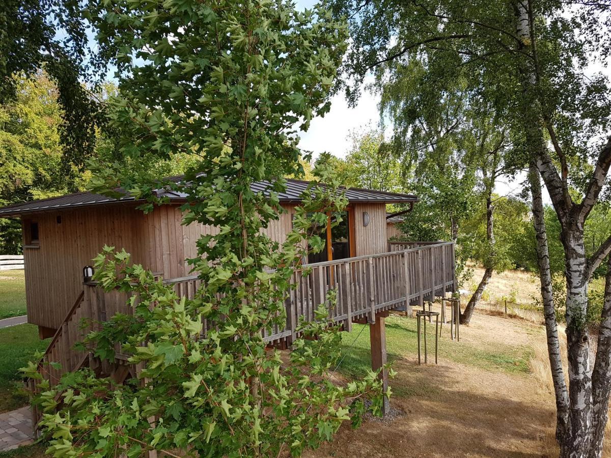 Hotel Waldquelle - Baumhaushotel Aerzen Екстериор снимка