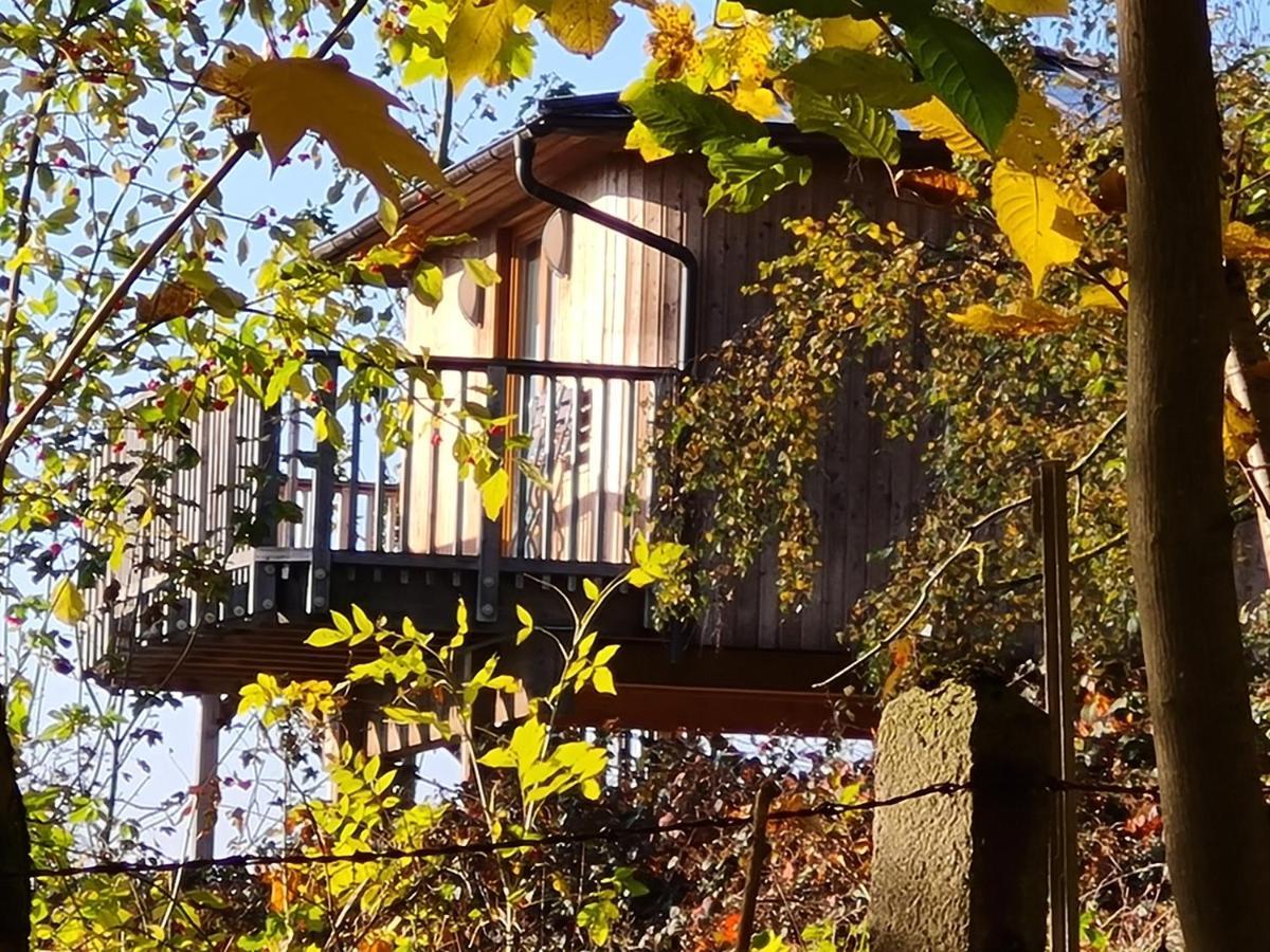 Hotel Waldquelle - Baumhaushotel Aerzen Екстериор снимка