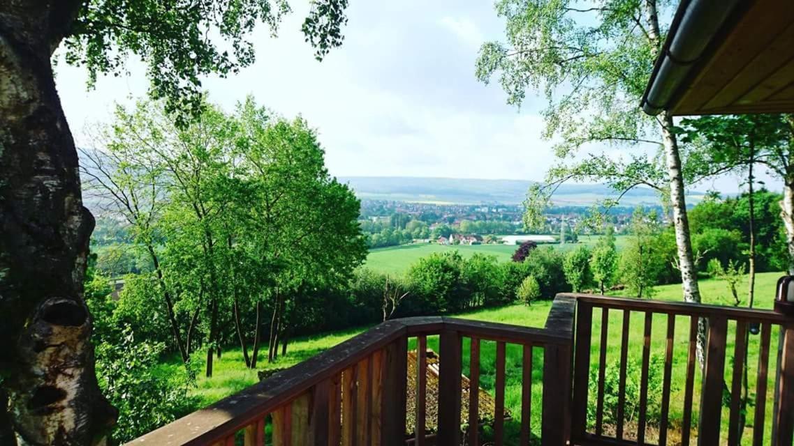 Hotel Waldquelle - Baumhaushotel Aerzen Екстериор снимка